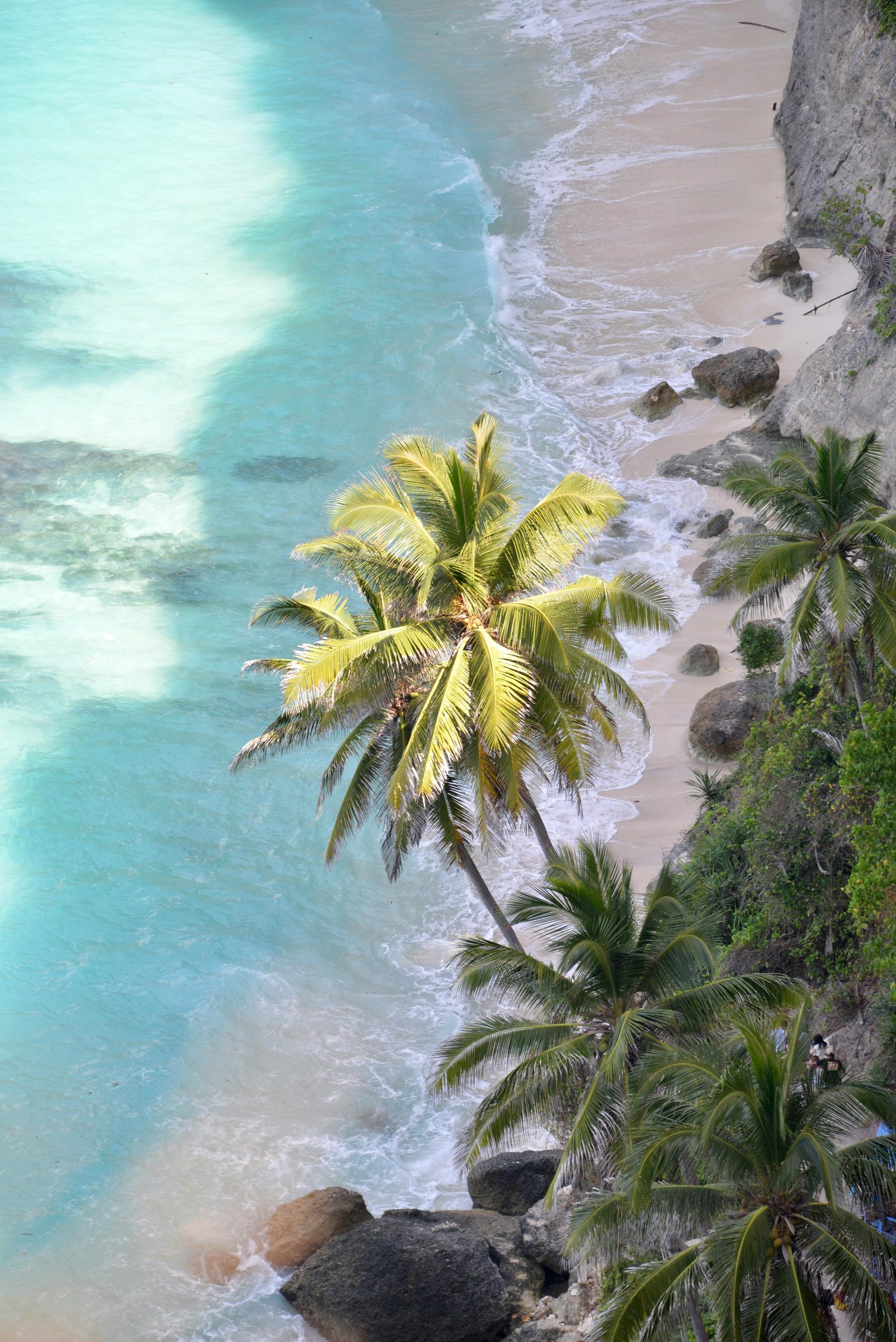 Horizons of Polynesia — in situ
